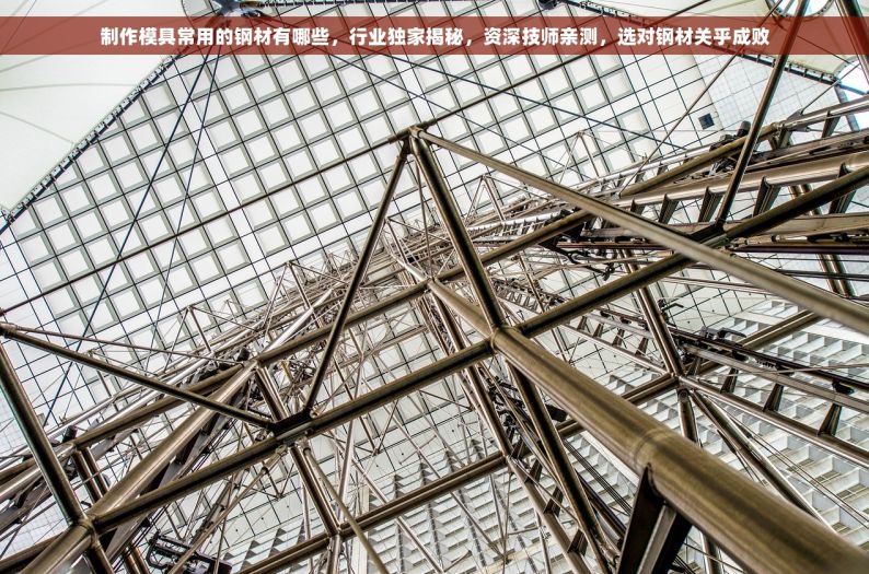 制作模具常用的钢材有哪些，行业独家揭秘，资深技师亲测，选对钢材关乎成败