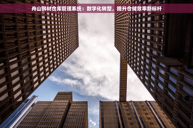 舟山钢材仓库管理系统：数字化转型，提升仓储效率新标杆