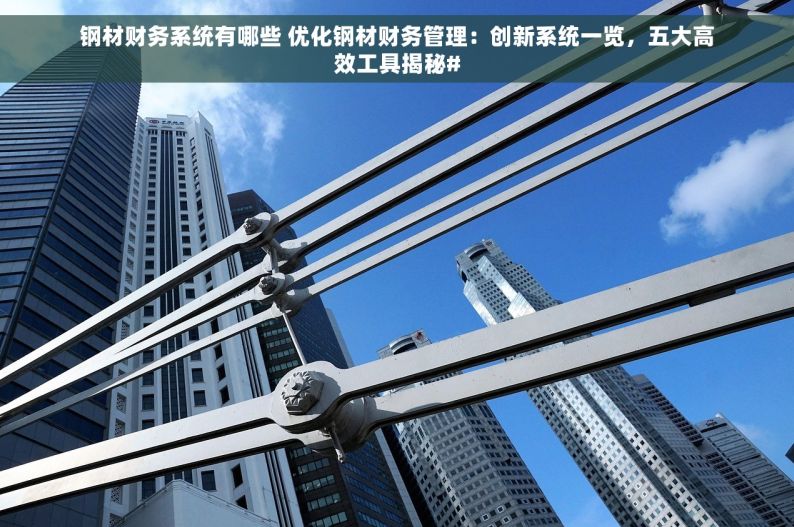 钢材财务系统有哪些 优化钢材财务管理：创新系统一览，五大高效工具揭秘#