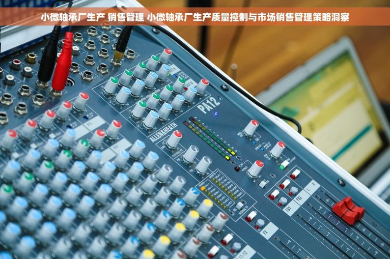 小微轴承厂生产 销售管理 小微轴承厂生产质量控制与市场销售管理策略洞察