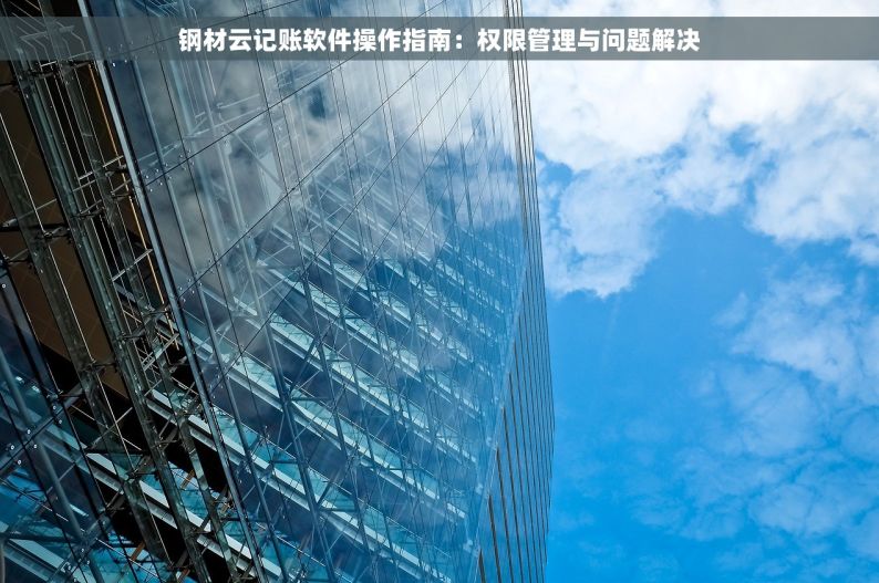 钢材云记账软件操作指南：权限管理与问题解决