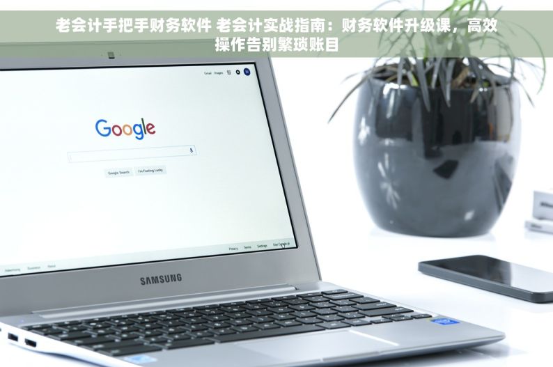 老会计手把手财务软件 老会计实战指南：财务软件升级课，高效操作告别繁琐账目