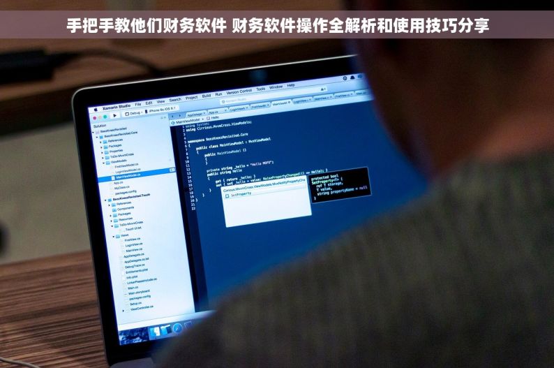 手把手教他们财务软件 财务软件操作全解析和使用技巧分享