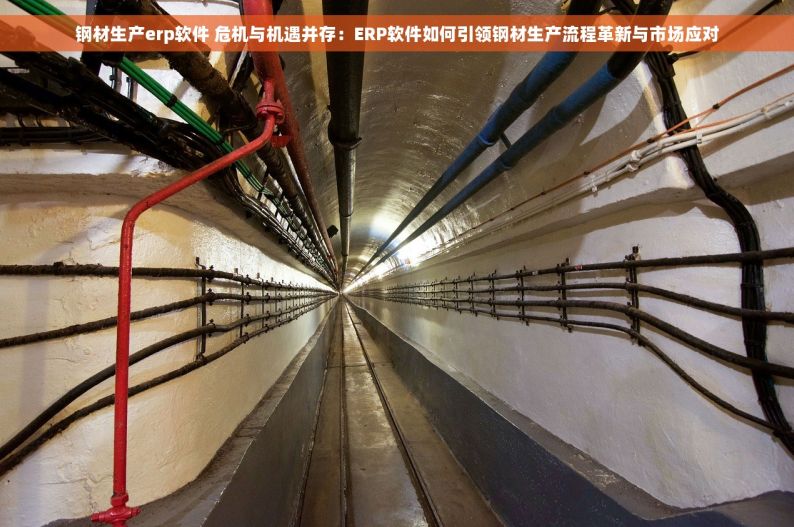 钢材生产erp软件 危机与机遇并存：ERP软件如何引领钢材生产流程革新与市场应对