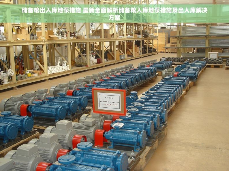 储备粮出入库地泵措施 最新全面解析储备粮入库地泵措施及出入库解决方案