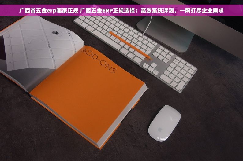 广西省五金erp哪家正规 广西五金ERP正规选择：高效系统评测，一网打尽企业需求