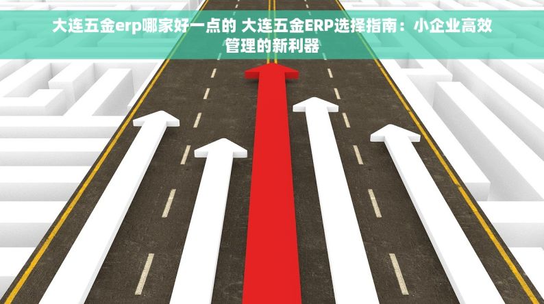 大连五金erp哪家好一点的 大连五金ERP选择指南：小企业高效管理的新利器