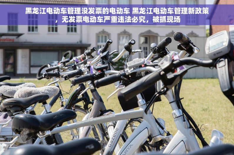 黑龙江电动车管理没发票的电动车 黑龙江电动车管理新政策，无发票电动车严重违法必究，被抓现场