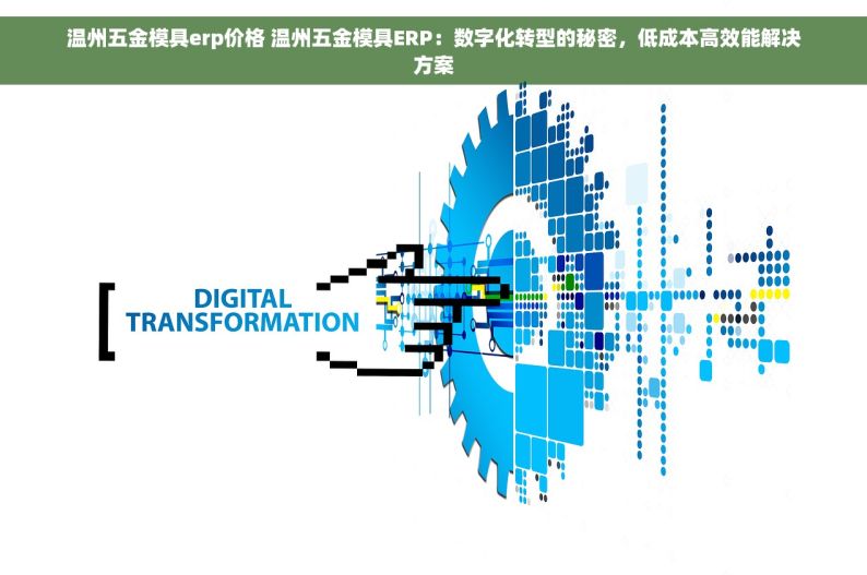 温州五金模具erp价格 温州五金模具ERP：数字化转型的秘密，低成本高效能解决方案