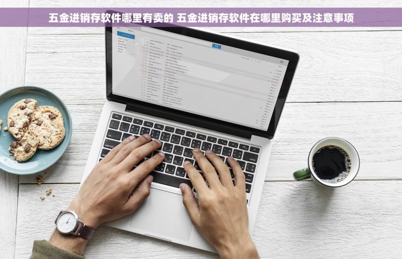 五金进销存软件哪里有卖的 五金进销存软件在哪里购买及注意事项