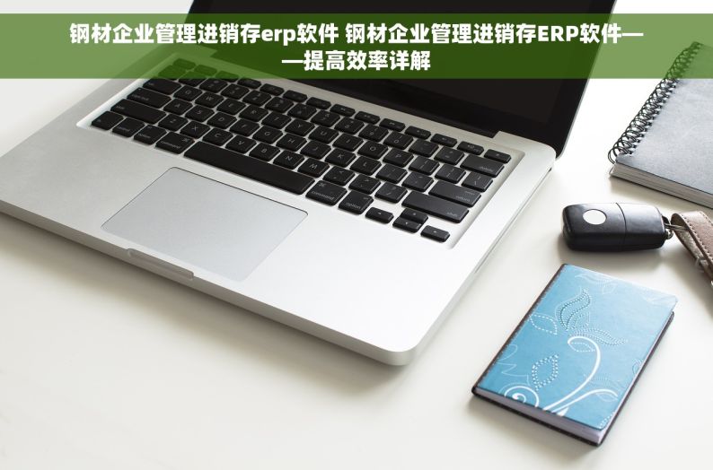 钢材企业管理进销存erp软件 钢材企业管理进销存ERP软件——提高效率详解