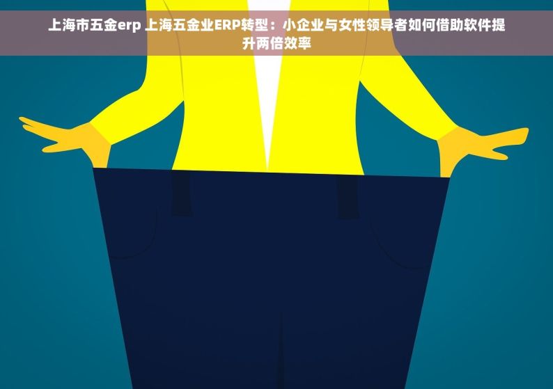 上海市五金erp 上海五金业ERP转型：小企业与女性领导者如何借助软件提升两倍效率