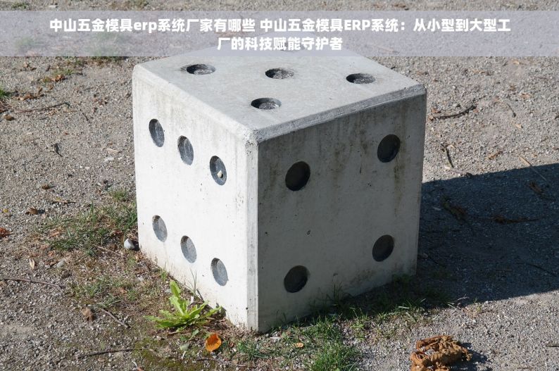 中山五金模具erp系统厂家有哪些 中山五金模具ERP系统：从小型到大型工厂的科技赋能守护者