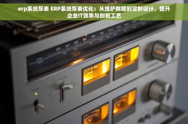 erp系统泵表 ERP系统泵表优化：从维护教程到定制设计，提升企业IT效率与创新工艺