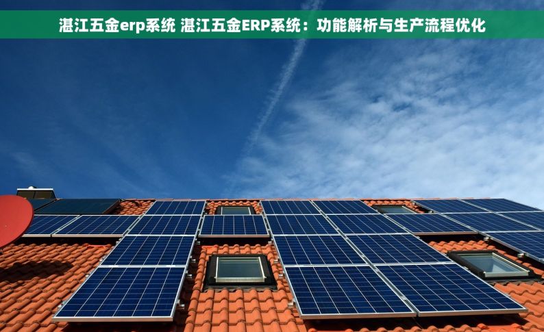 湛江五金erp系统 湛江五金ERP系统：功能解析与生产流程优化
