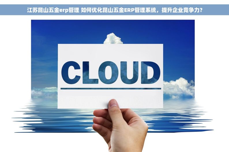 江苏昆山五金erp管理 如何优化昆山五金ERP管理系统，提升企业竞争力？