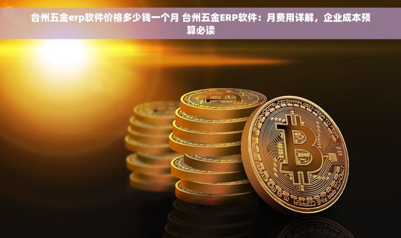 台州五金erp软件价格多少钱一个月 台州五金ERP软件：月费用详解，企业成本预算必读